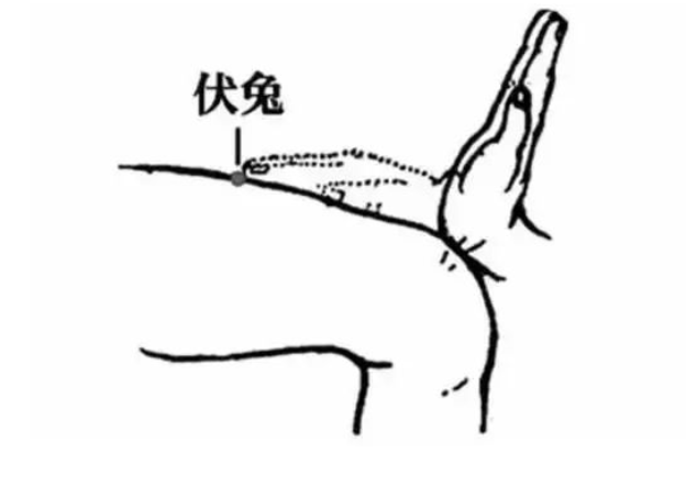 pgÂ齫ºúÁË(¹Ù·½°æ)ÆÆ½â/ÊÔÍæ/±¬·Ö¹Ù·½ÍøÕ¾