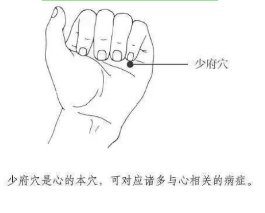 pgÂ齫ºúÁË(¹Ù·½°æ)ÆÆ½â/ÊÔÍæ/±¬·Ö¹Ù·½ÍøÕ¾