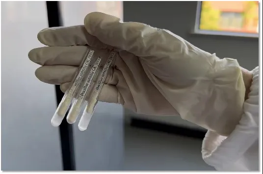 pg�齫����(�ٷ���)�ƽ�/����/���ֹٷ���վ