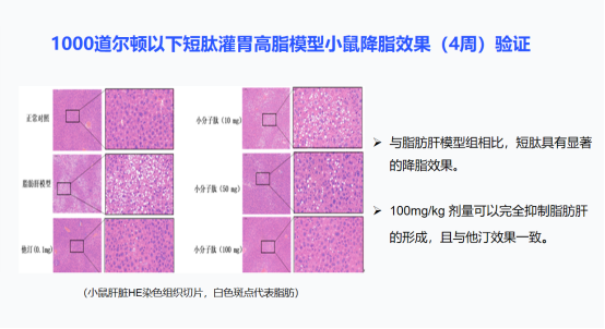pg�齫����(�ٷ���)�ƽ�/����/���ֹٷ���վ